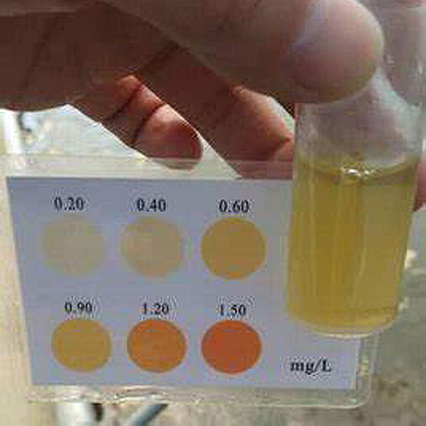 测量水溶液中的铵离子